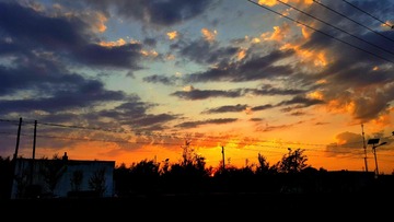 18088