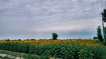 18085