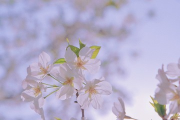AE111A94-71AB-48CA-9529-22E2E0B53856/L0/001