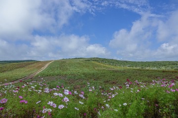 _DSC0013-0