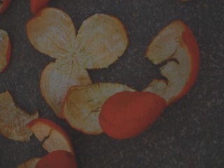1341840