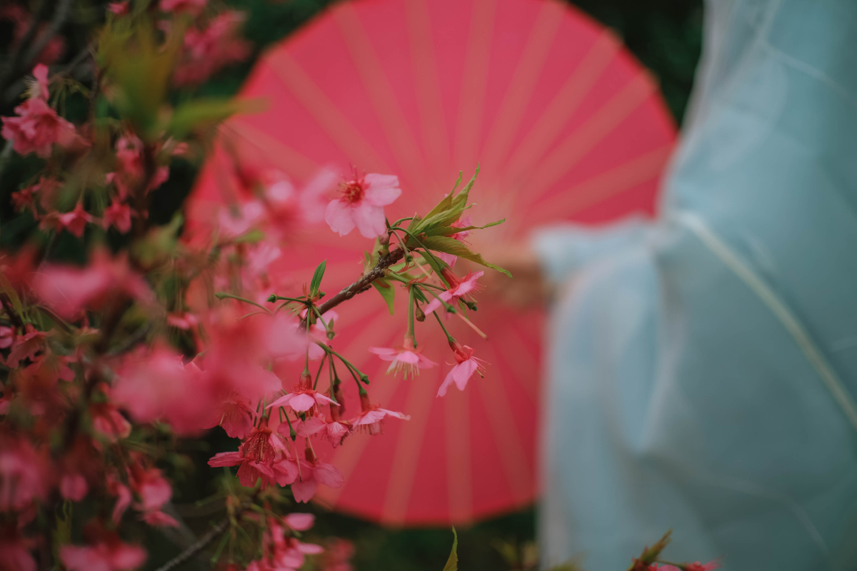 古风人像三皈依