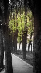 689F0CBE-39B4-464F-80EA-01C296E36DE9/L0/001