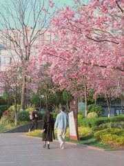 DD1B493B-9D4B-4AA9-BD27-59C81208E301/L0/001