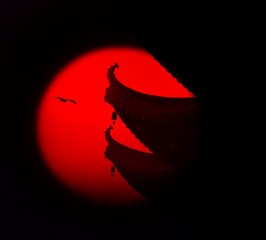 DSC_2032-1aaaa
