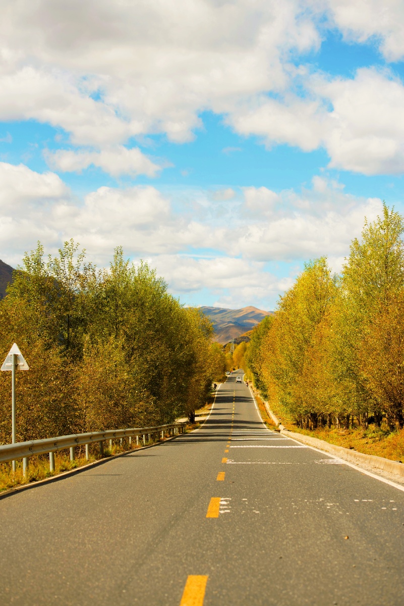 98都很大只,像拱门一样的把路包裹中间,车开在路上,简直是种视觉