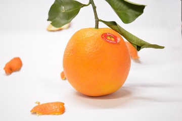2826992
