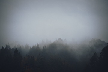 1160