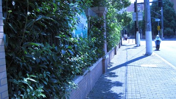 2E84D6ED-E135-4B3A-B4D2-AFE74ADE4D26/L0/001