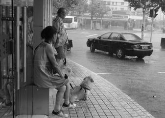 雨季
