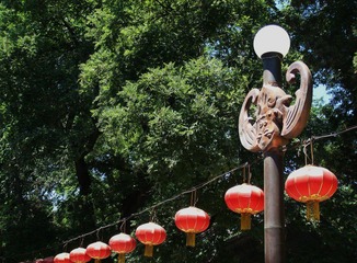 蝙蝠灯