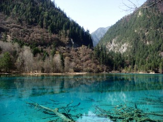DSC01603g.jpg