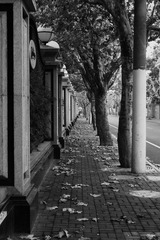 兴国路街景