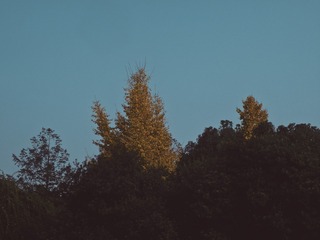 1119504