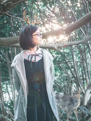 P1310926鹿
