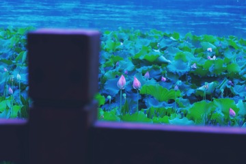 15605