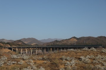 338854