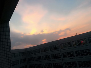 282