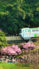 77246