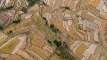 DJI_0047
