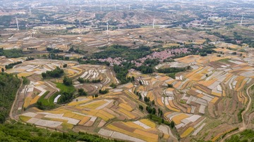 DJI_0215