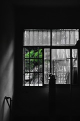 B81D7454-167A-4776-B1E5-7BFE0F82FB5A/L0/001