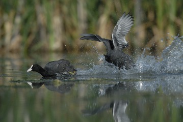 IMG_2251