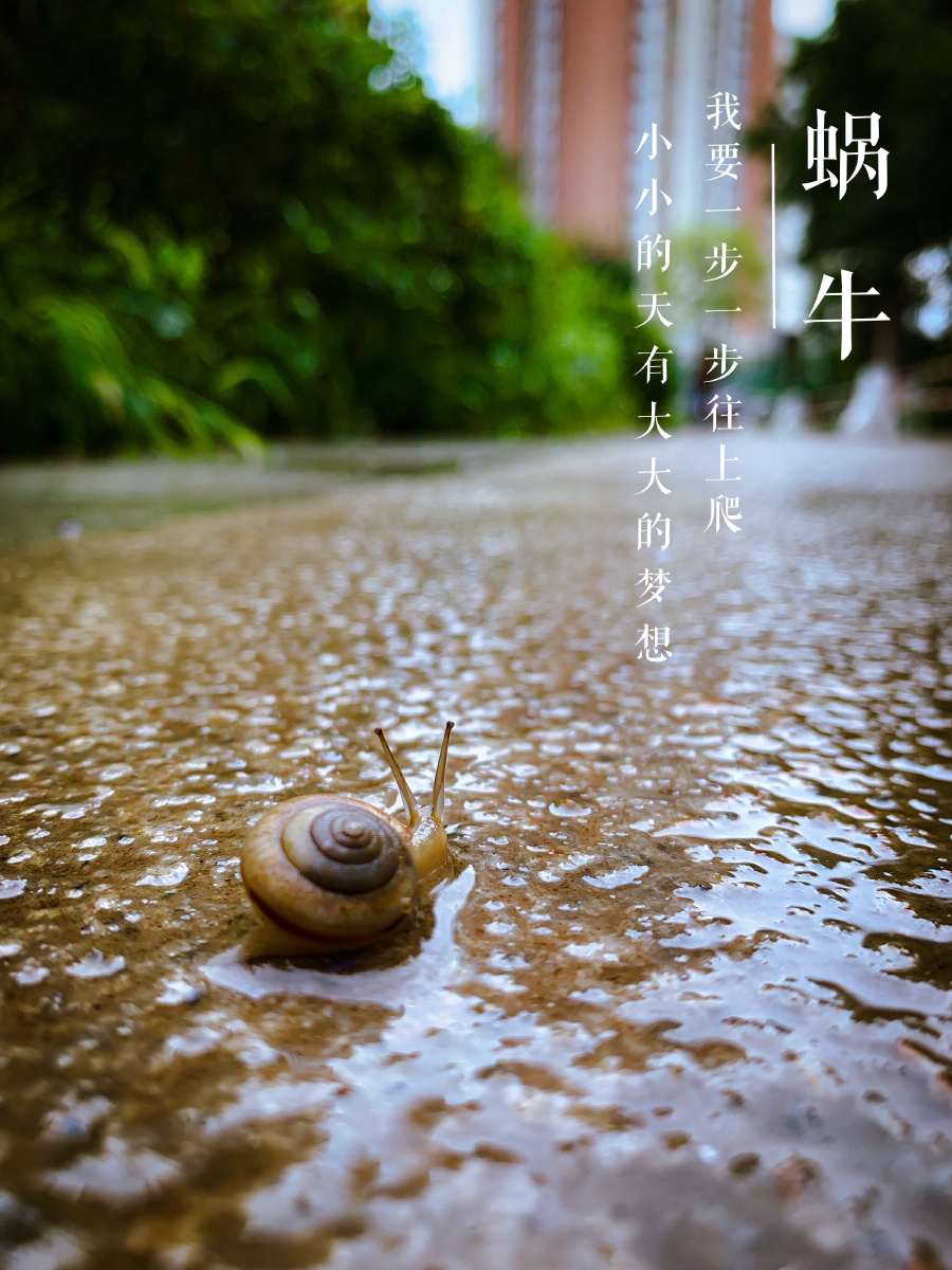 我要一步一步往上爬