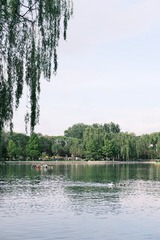 C21D0FCE-0271-49C2-8E1D-6BC3F3912442/L0/001