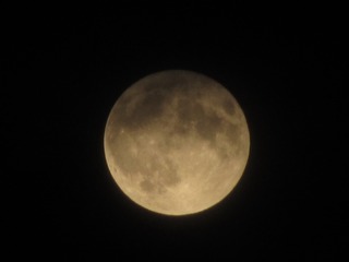 B46B2159-F578-4950-8685-2C405F9D4924/L0/001