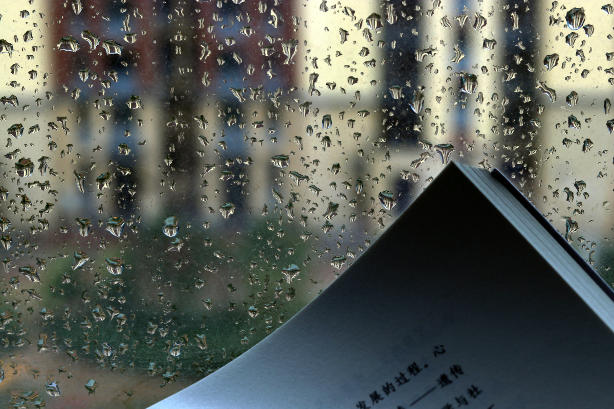听雨读书