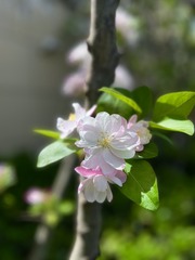 D489BBBF-C956-40FB-A89D-F46E29C811F8/L0/001