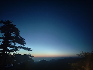 1000021553