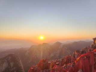 1000021626