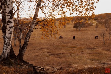 DSC_0364s