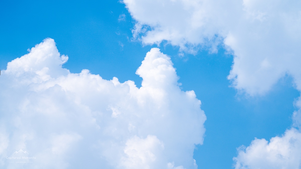 期待那个熟悉中充满活力的郑州6767