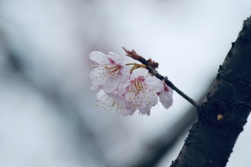 94DF9E9C-DD07-489A-8E44-383DD74D1C6D