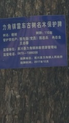 109891