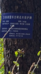 110588