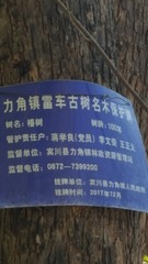 110592