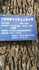 109880