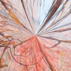 A9BB9DD7-B55B-4F0D-8616-B701202AA8EC/L0/001