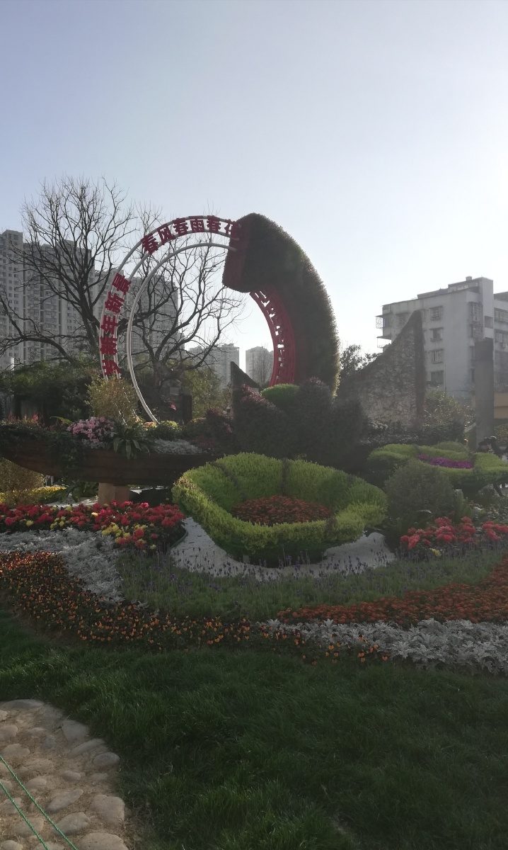 新春赏花幸福安康过大年宅家门口马鞍池公园