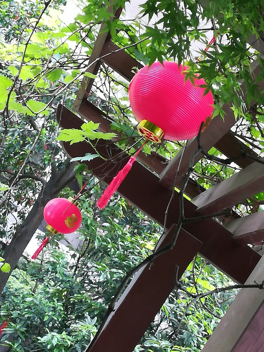 花棚凉亭红灯笼依旧