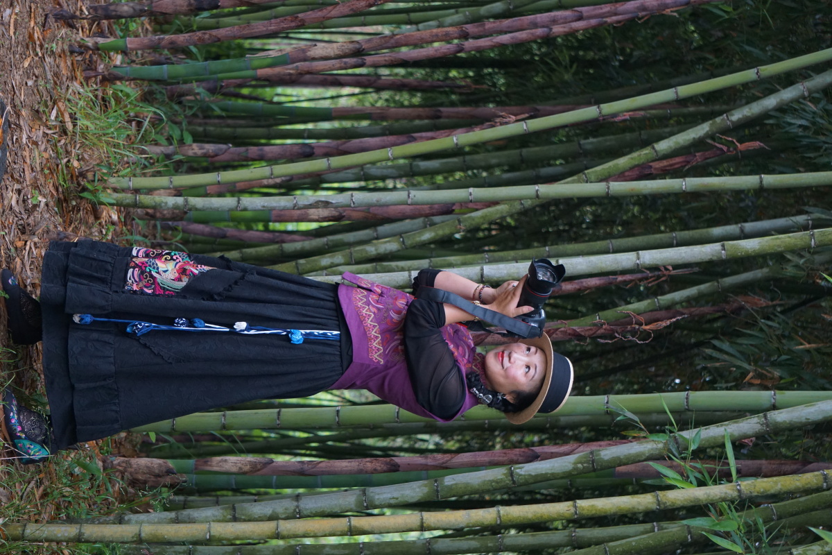 竹子林中模特秀拍