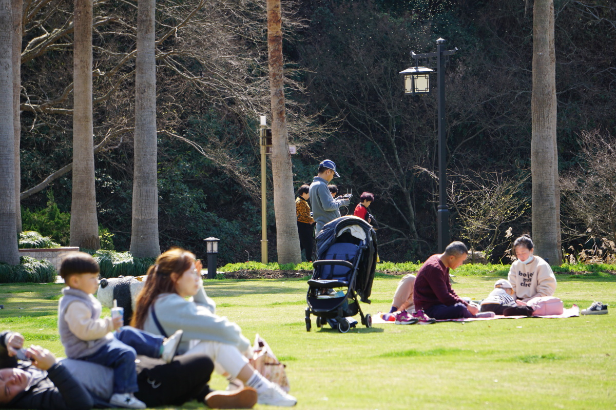 草坪上休闲小家家们秀选