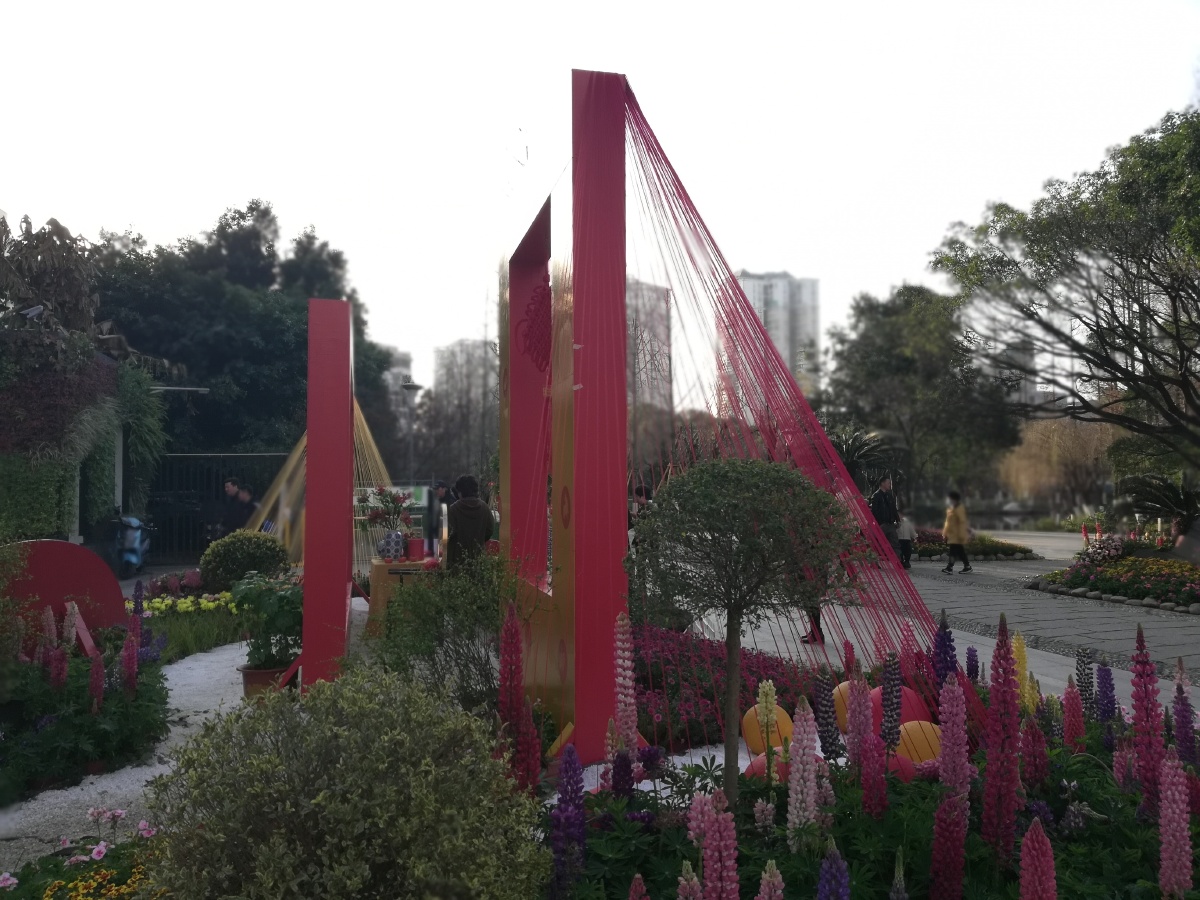 新春赏花幸福安康过大年宅家门口马鞍池公园