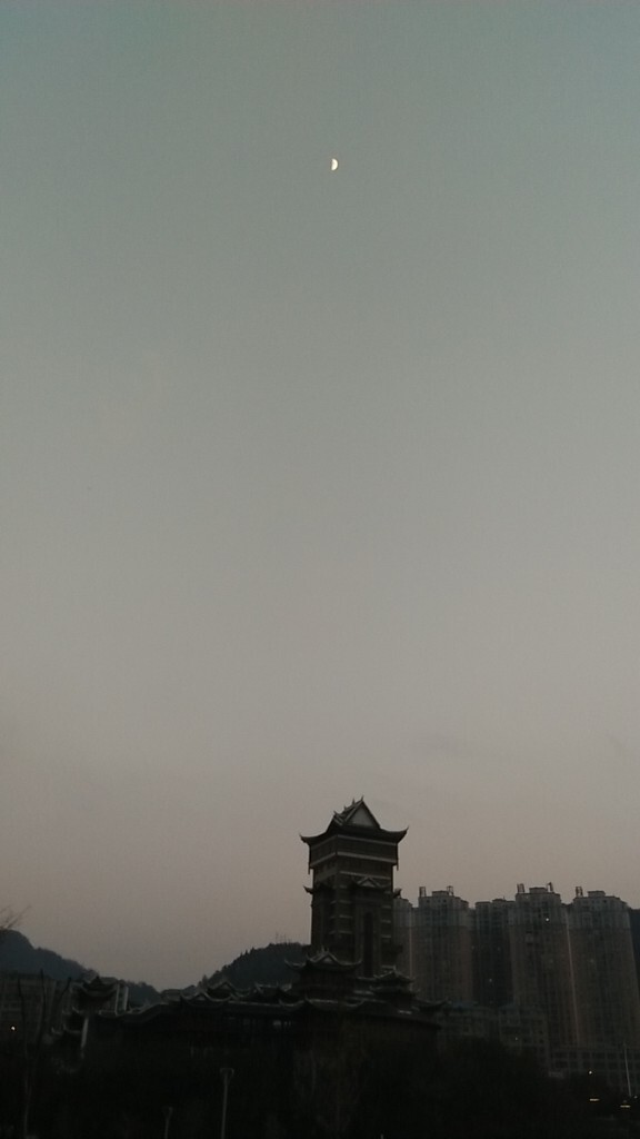 傍晚的静物！