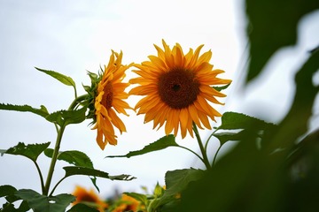 2FE09E13-F759-4633-B4CF-28B445826CC5/L0/001