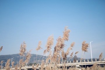82F7B505-8197-47E3-B121-3CB220EEFA89/L0/001